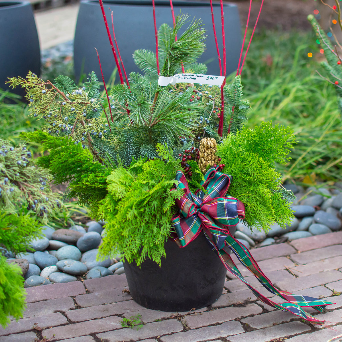 Winter Planter Workshop
