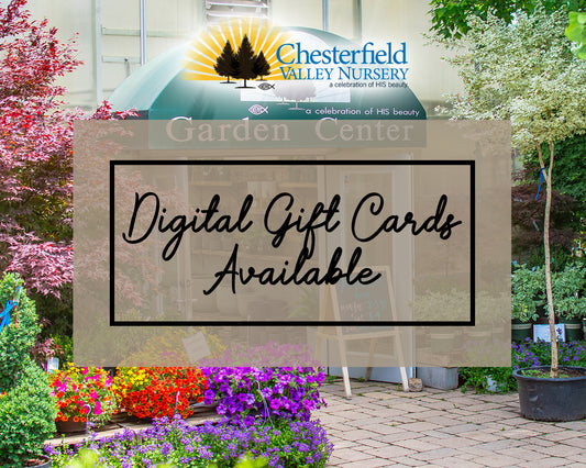 Digital Gift Card