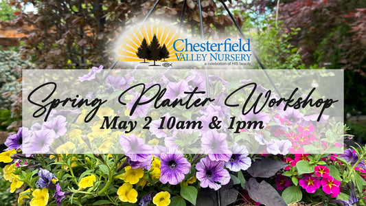 Spring Planter Workshop