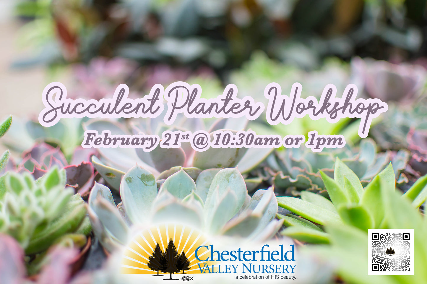 Succulent Workshop